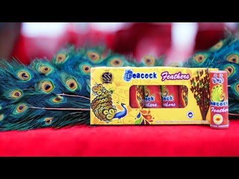 Peacock Feather Fountain 5 Pcs